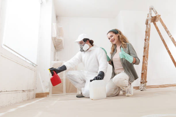 Best Forensic Mold Investigation  in Chelsea Cove, NY
